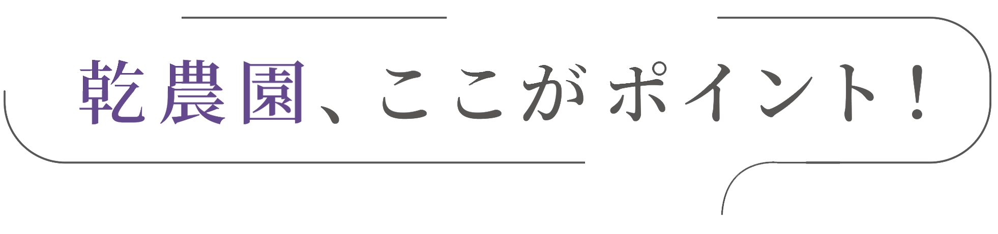 ここがポイント！